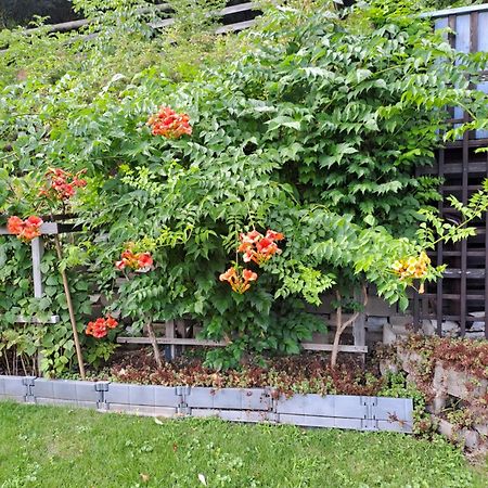 Ferienwohnung Brenner Bruck an der Mur Eksteriør bilde