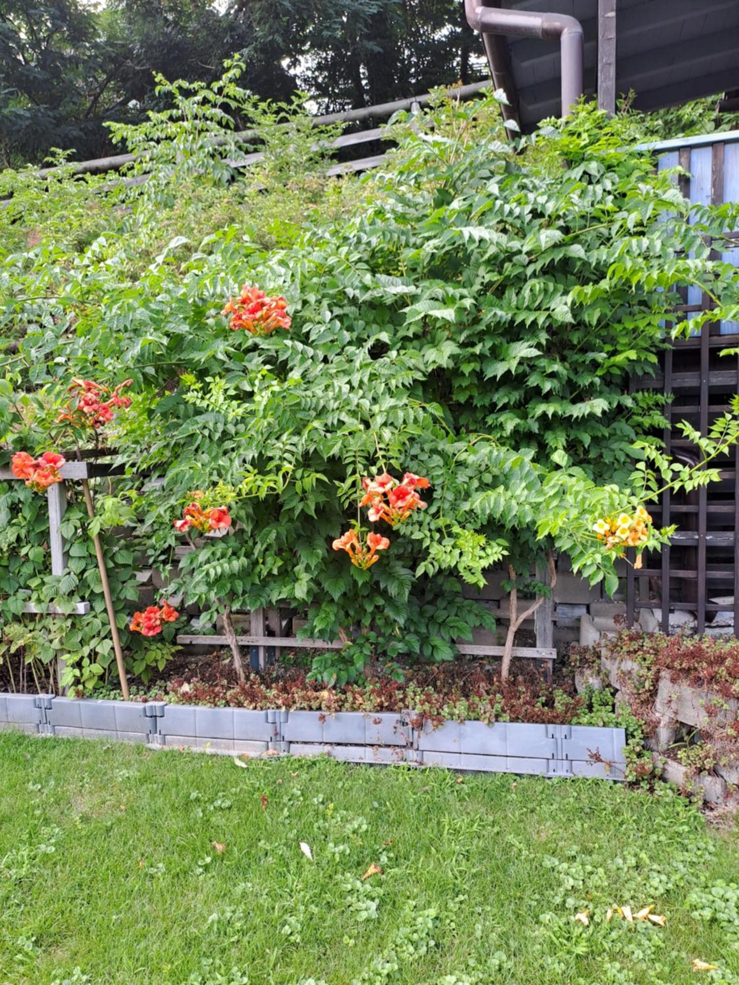 Ferienwohnung Brenner Bruck an der Mur Eksteriør bilde